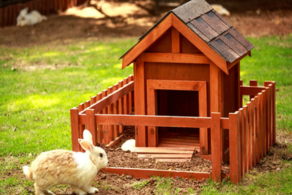 Como hacer una casa de conejos casera