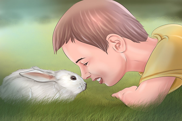 Como hacerle cariño a un conejo