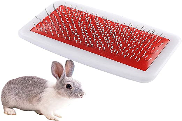 Para qué sirve el cepillo de conejo