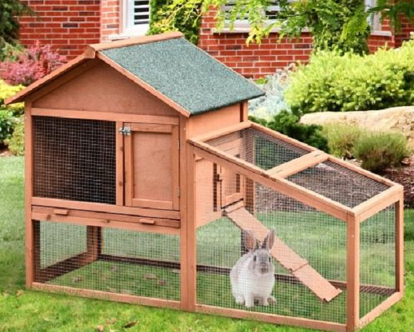 Los mejores materiales para construir casa de conejos